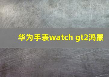 华为手表watch gt2鸿蒙